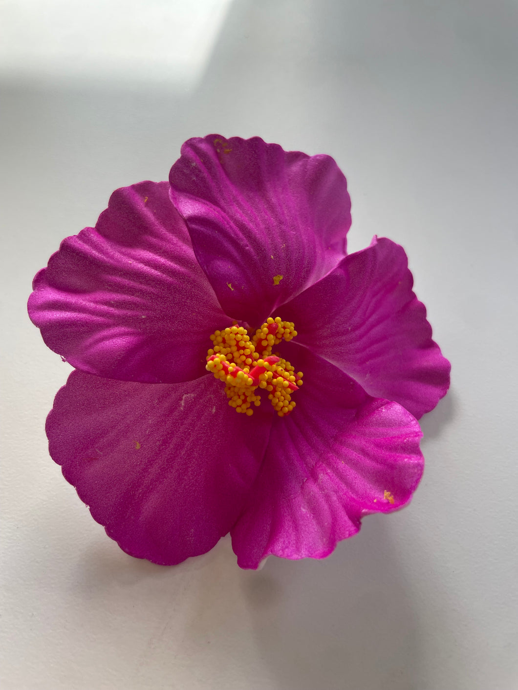Purple Flower