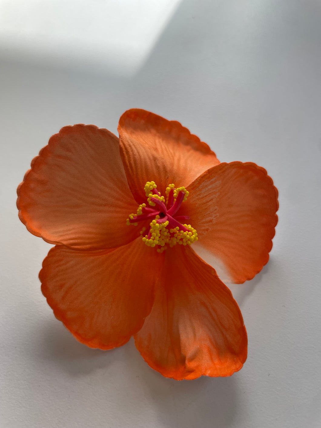 Orange Flower