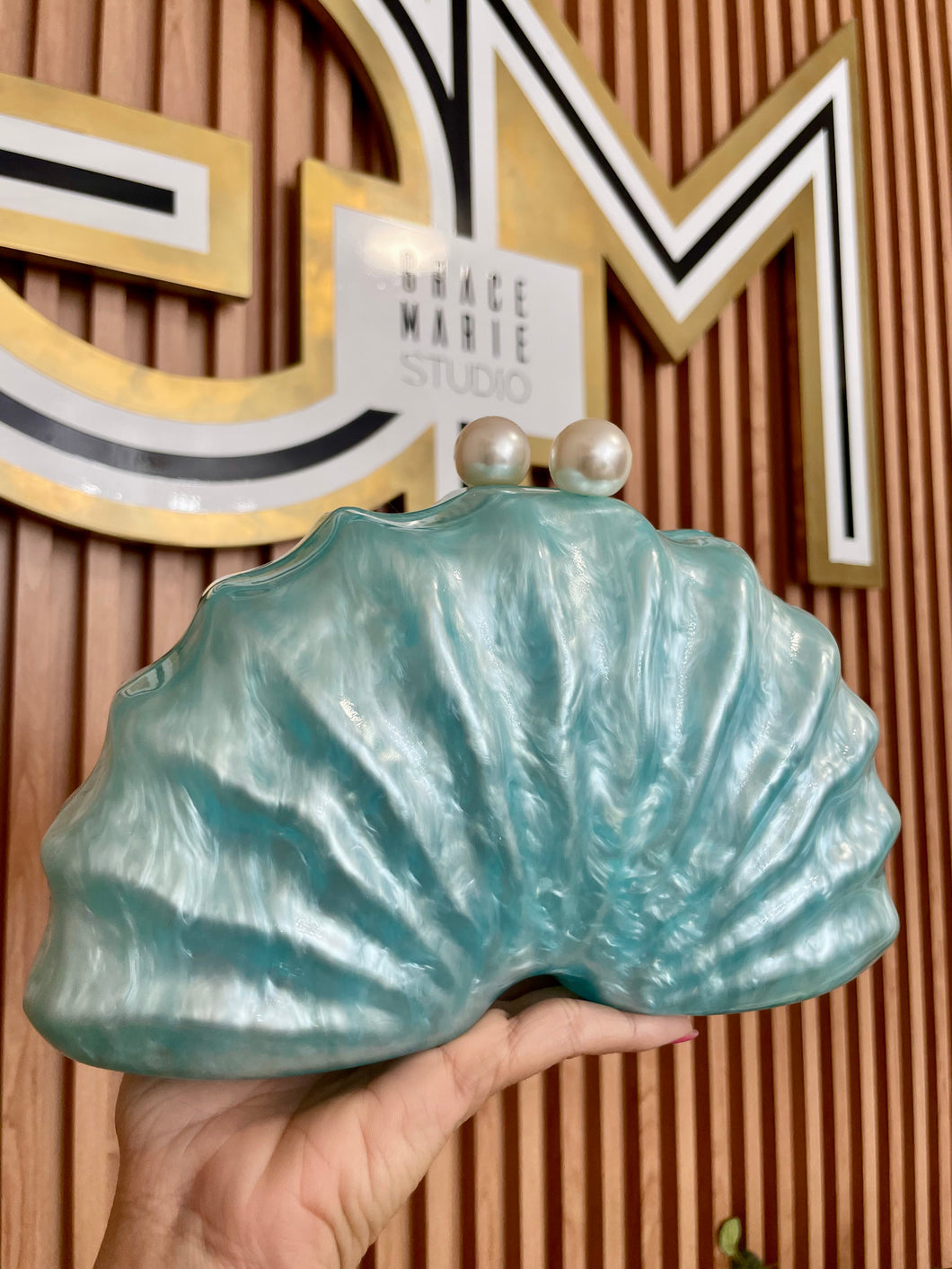 Light blue seashell clutch 🐚