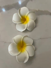 Load image into Gallery viewer, White Flower
