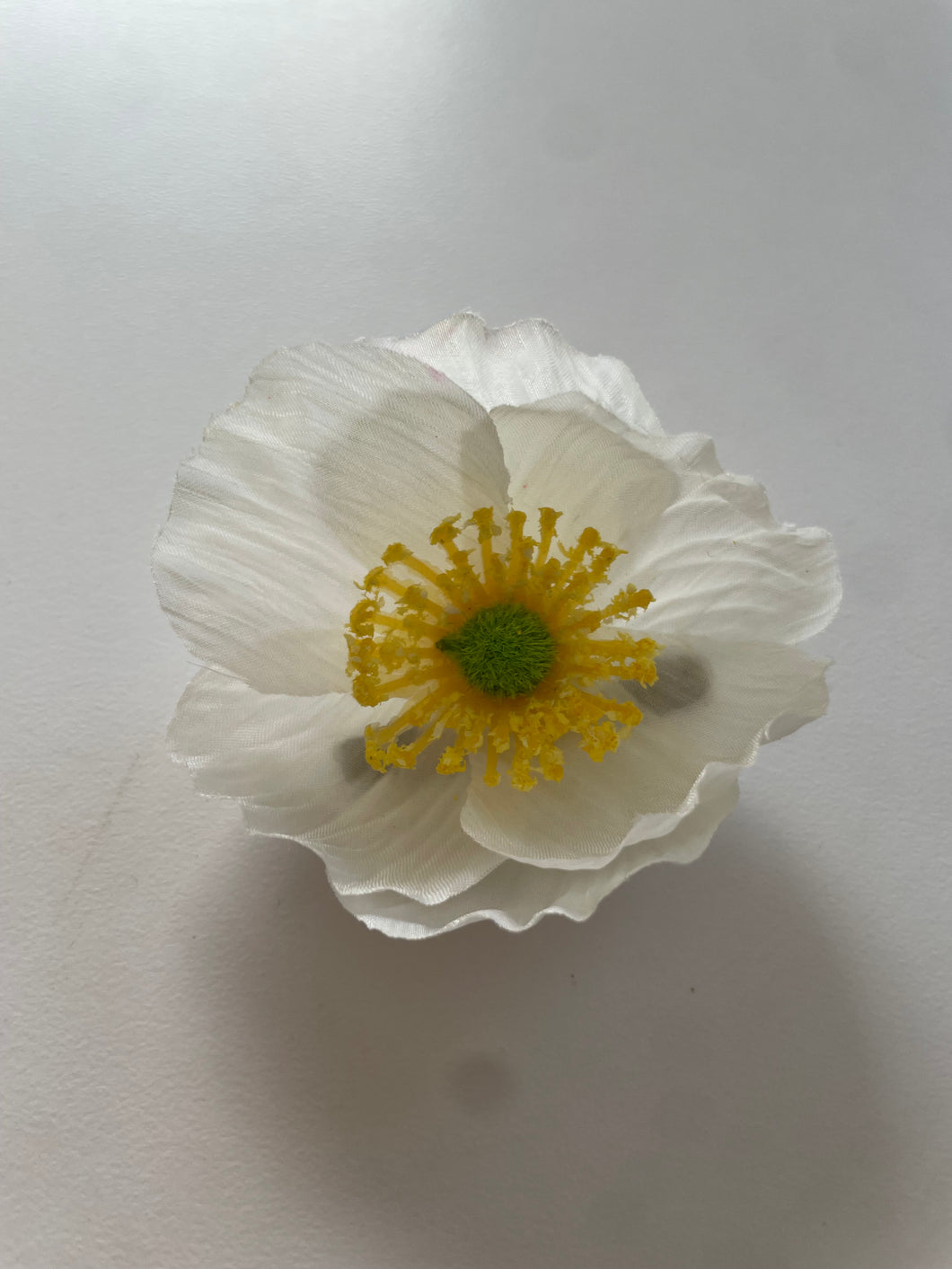 White Flower